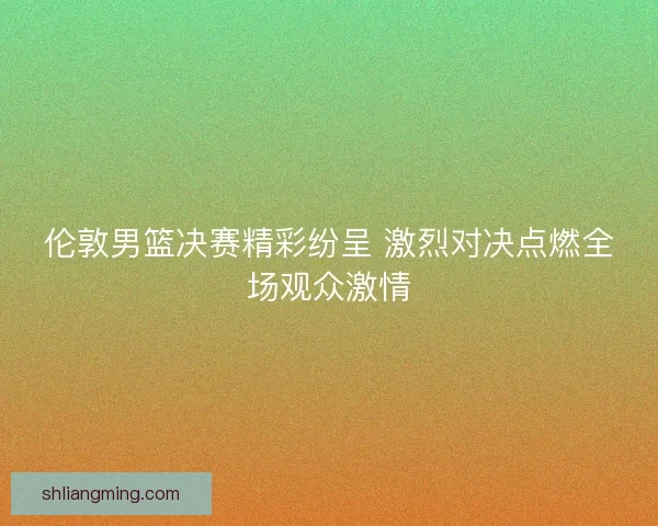伦敦男篮决赛精彩纷呈 激烈对决点燃全场观众激情