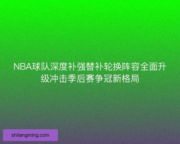 NBA球队深度补强替补轮换阵容全面升级冲击季后赛争冠新格局